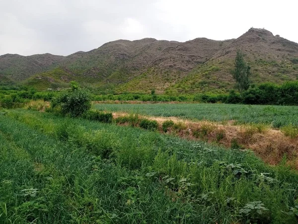 Farming in village with mountains
