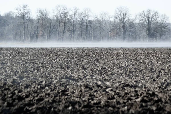 Perspective view of a cultivated field in winter on a morning.
