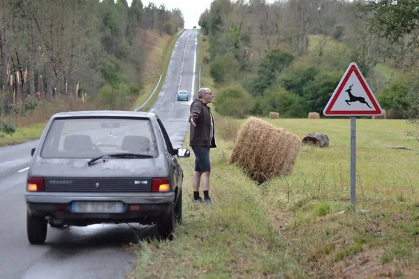 Humorous scene where a man, stopped at a road sign, waits for a deer to pass.