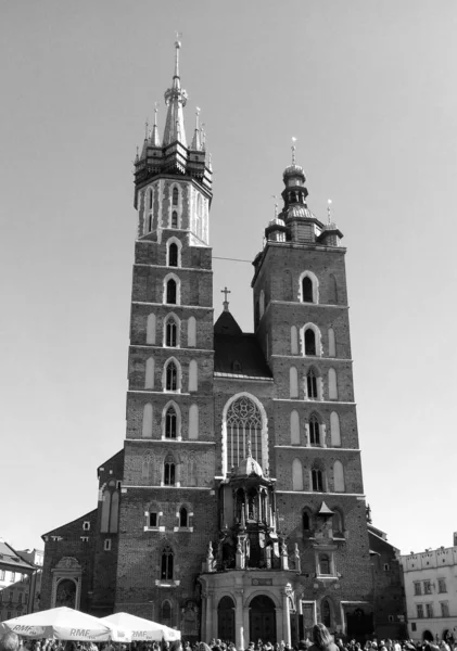 Black White Image Cathedral Krakow Poland — стоковое фото