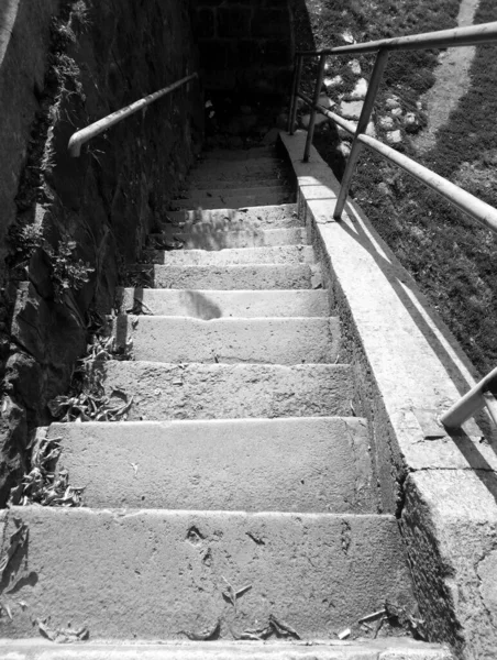 Foto Preto Branco Escadas Para Parque — Fotografia de Stock