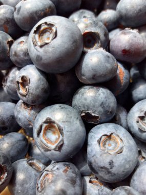 Görüntü bir yabanmersini gösteriyor..