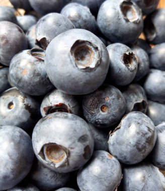 Görüntü bir yabanmersini gösteriyor..