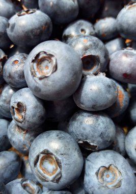 Görüntü bir yabanmersini gösteriyor..