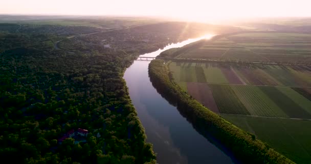 Een Rivier Met Prachtig Groen Land Bij Zonsondergang — Stockvideo