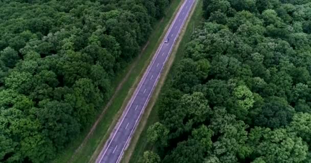 Een Autoweg Midden Een Groen Bos Bij Zonsondergang — Stockvideo