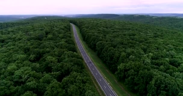 Uma Estrada Automóvel Meio Uma Floresta Verde Pôr Sol — Vídeo de Stock