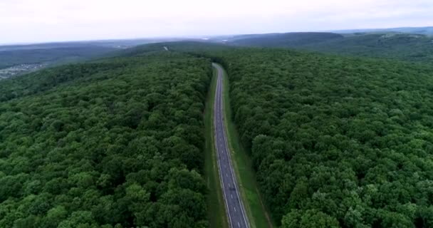 Automobile Road Middle Green Forest Sunset — Vídeo de Stock