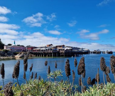 Montereys fisherman's warf.