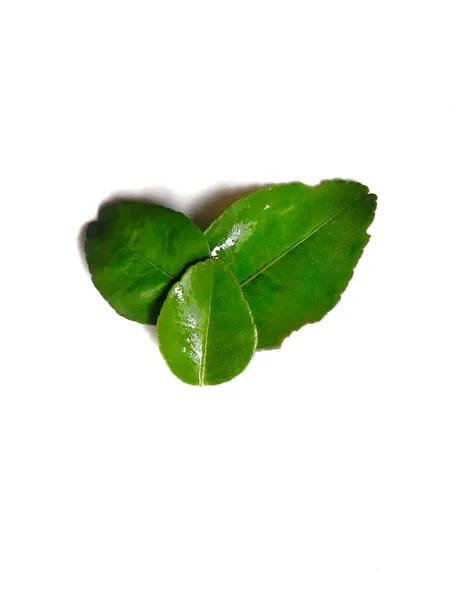 Green Lime Orange Leaf Closed Isolated White Background — Stock Photo, Image