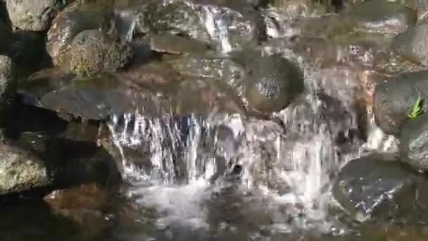 Czysta Górska Woda Spada Skały — Wideo stockowe