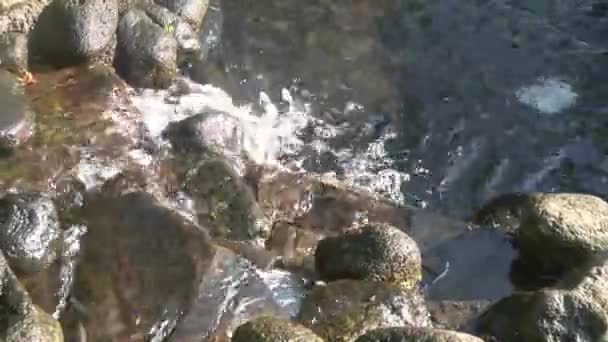 Reines Bergwasser Tropft Auf Die Felsen — Stockvideo