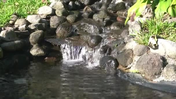 純粋な山の水が岩の上に落ち — ストック動画