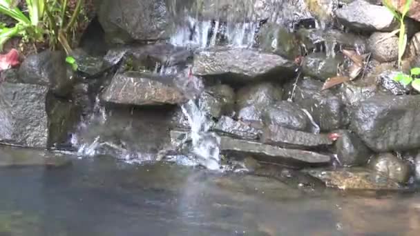 純粋な山の水が岩の上に落ち — ストック動画