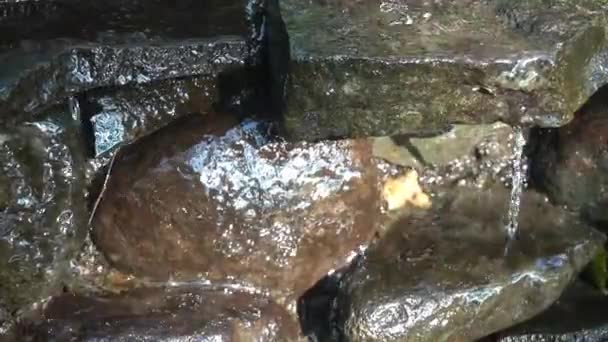 Zuiver Bergwater Druppels Rotsen — Stockvideo