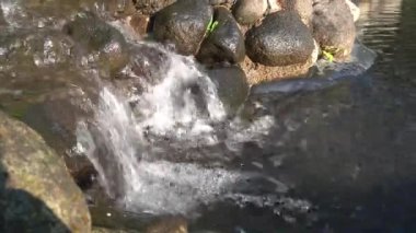 Saf dağ suyu kayalara düşer.