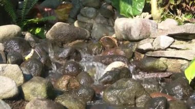 Saf dağ suyu kayalara düşer.