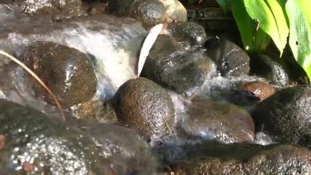 Zuiver Bergwater Druppels Rotsen — Stockvideo