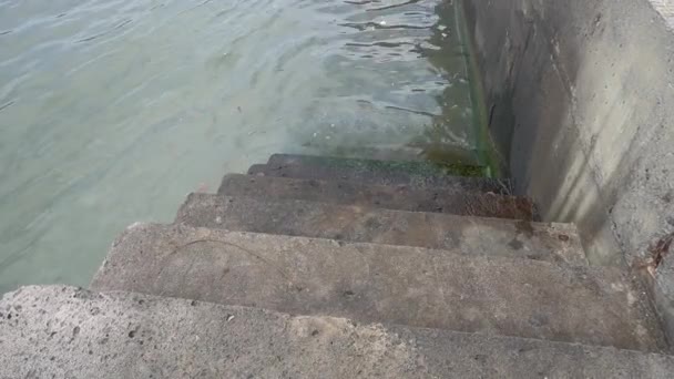 Escaliers Bord Mer Dans Port Avec Des Vagues Mer Calme — Video