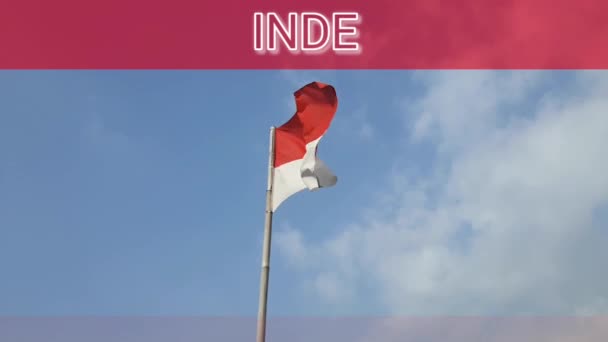 Bandera Roja Blanca Indonesia Ondeando Poste Bambú Día Soleado — Vídeos de Stock