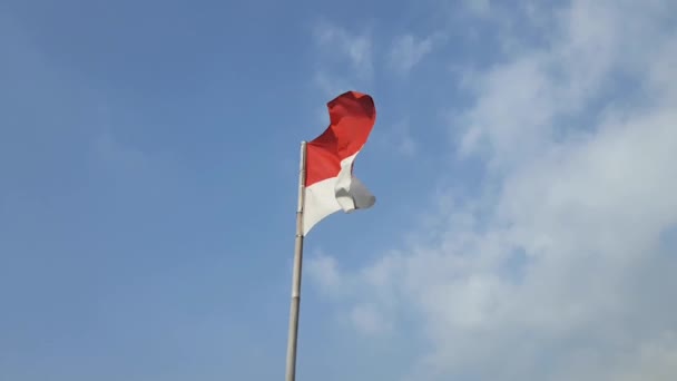 晴れた日に竹の棒を飛んでインドネシアの赤と白の旗 — ストック動画