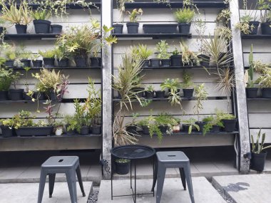 bir kafe masası ve taş zeminli sandalyeler ve duvarlara bitki süslemeleri.