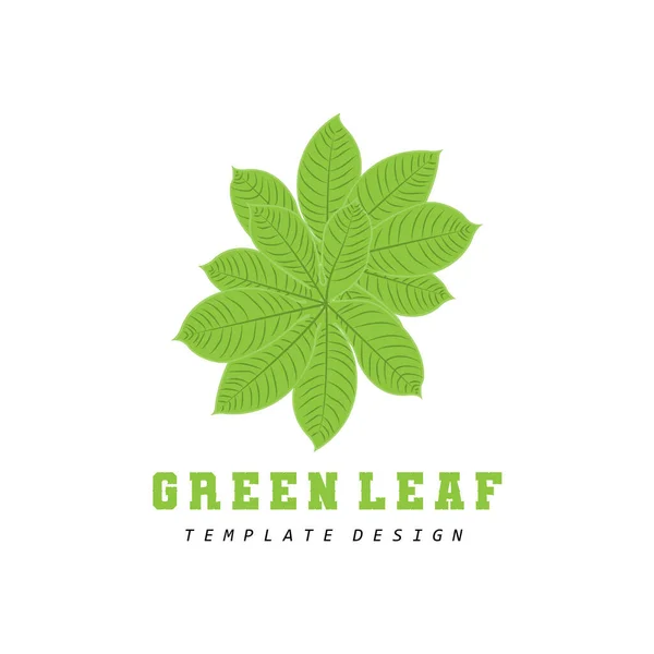 Liść Logo Green Plant Design Liście Drzew Szablon Marki Ilustracja — Wektor stockowy