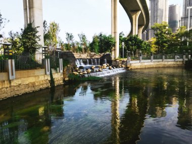 Kunming şehrindeki parktan manzara