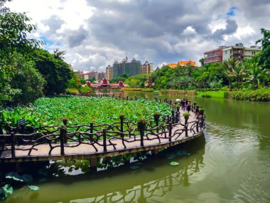 yeşil tropikal Asya bahçesi
