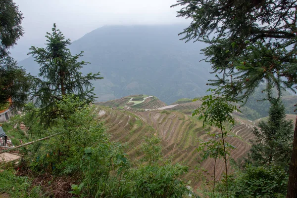 Longsheng County China May 2010 Longji Terrace Fields Leads — Stock Photo, Image