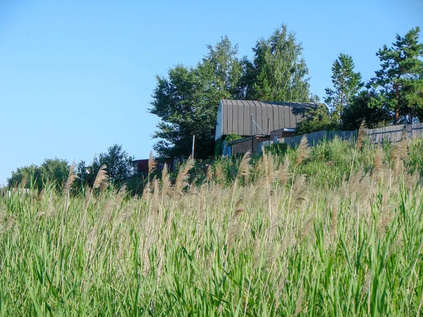 Casa Campagna Sulla Riva Alta Dell Irtysh Nella Regione Omsk — Foto Stock