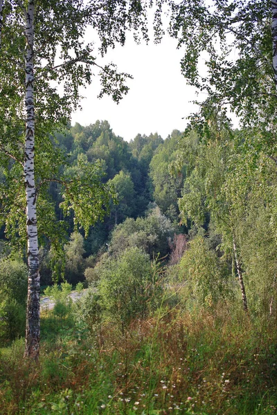 Park Tobol City Tobolsk Russia — Zdjęcie stockowe