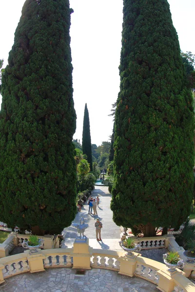 Sotsji Rusland Oktober 2021 Zicht Het Park Arboretum Vanaf Het — Stockfoto