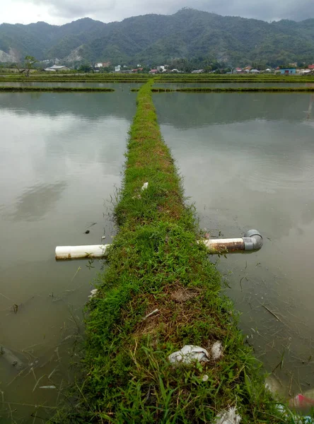 Large Pipe Serves Means Diverting Water Rice Fields Rice Fields — Foto de Stock