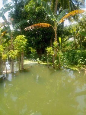 Avlular ve bahçeler bir gecede sular altında kaldı..