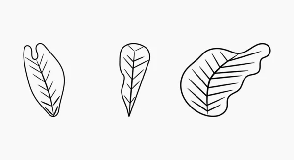 Set Leaf Line Drawing — Vettoriale Stock