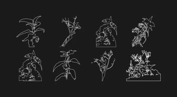 Set Leaf Line Drawing — Vetor de Stock