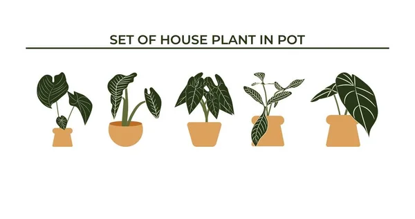 Ensemble Plantes Maison Pot — Image vectorielle