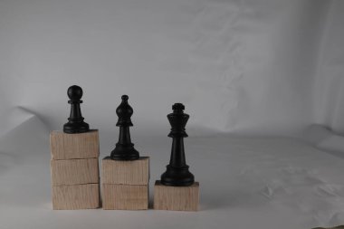 Tahta küplerden alınan satranç taşları eşitlik kavramını gösteriyor. İş konsepti