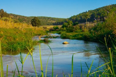 a body of water surrounded by beautiful nature