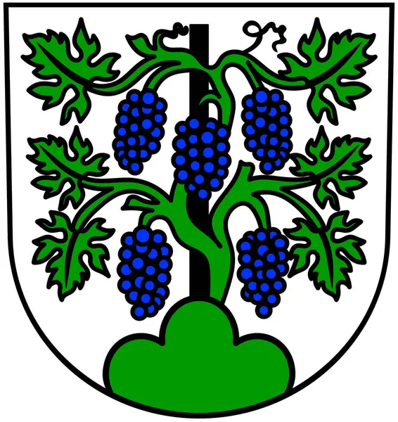Gemmrighteim Község Címerét Németországba Fehér Alapon Elszigetelve — Stock Fotó
