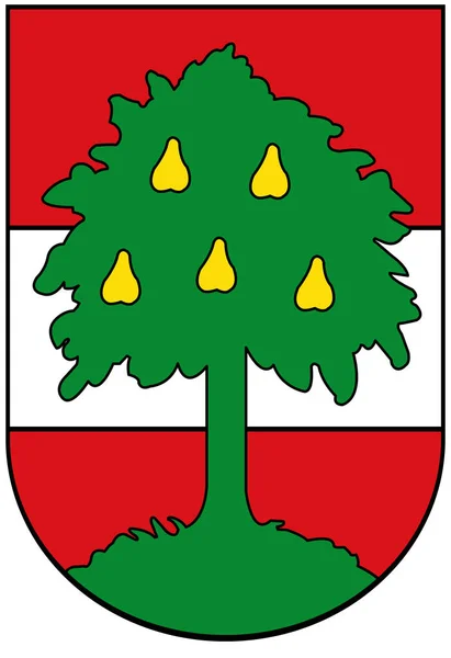 Escudo Armas Ciudad Dornbirn Austria Aislado Sobre Blanco — Foto de Stock