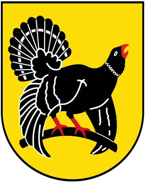 Wappen Des Kreises Freudenstadt Deutschland Isoliert Auf Weiß — Stockfoto