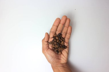 Roasted Coffee beans on a palm hand Barista.