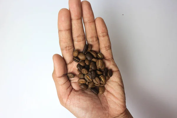 Roasted Coffee beans on a palm hand Barista.