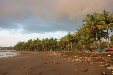 summer holidays background - sunny tropical paradise beach with brown sand and palms