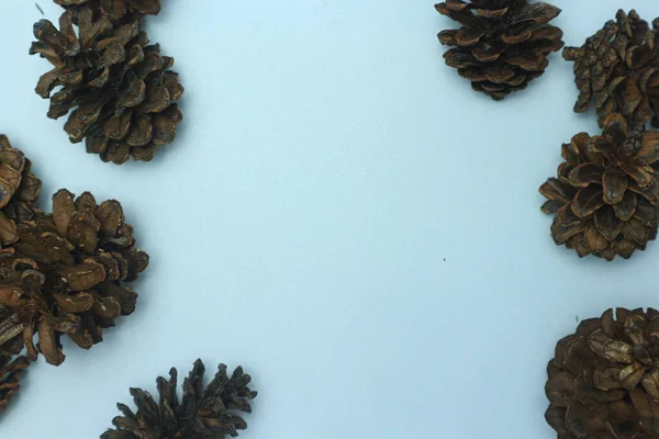 Christmas pine cones on white paper border composition. Creative flat lay, top view design