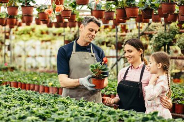 Happy parents and their small daughter working with flowers at plant nursery. 