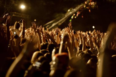 Large group of fans with arms raised having fun on a music concert at night.