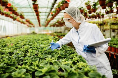 Agricultural engineer doing quality control inspection of flowers in a plant nursery. 
